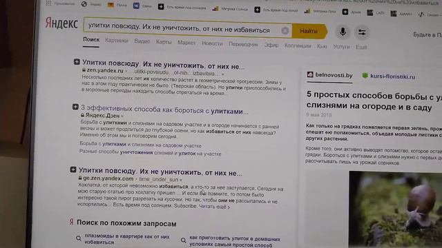 Сайт ворует контент с площадки Дзена смотреть онлайн