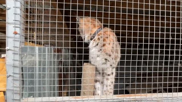 База отдыха и рыбалки, где Вам не рады! Троица! Ловля рыбы смотреть онлайн