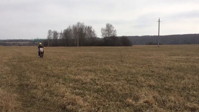 BSE J1 Весна 2018