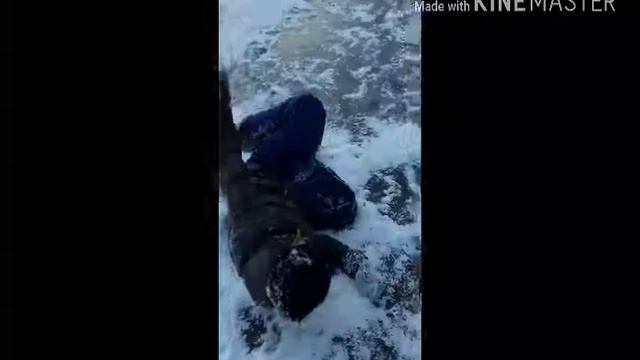 Короткий путь (я пофигистка) смотреть онлайн