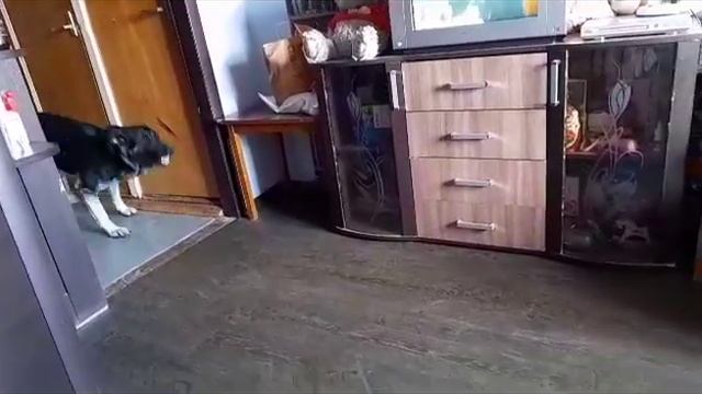 Ветер с Востока Жгучая Брюнетка ( Бруня, Брунечка)☺☺☺ смотреть онлайн