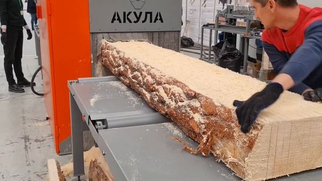 Выставка ExpoDrev в Красноярске 2021 смотреть онлайн