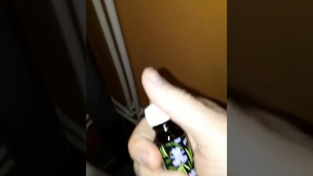 Эфирные масла вместо освежителей воздуха смотреть онлайн