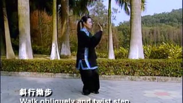 Изучение тайцзицюань по шагам. Часть IV.