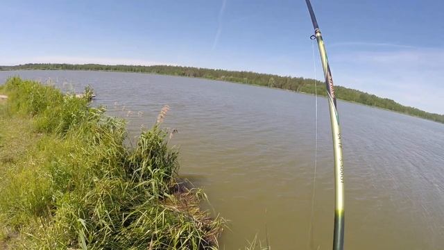 Карповая рыбалка в Нижегородской области, с.Криуша смотреть онлайн