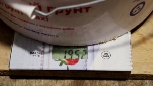 Перепел Белый гигант и Техасский перепел Сравним вес с разницей в возрасте Один месяц