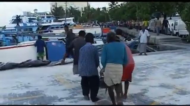 азбука рыбака смотреть онлайн