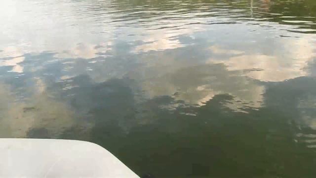 Сплав по Енисею, от Дивногорска до Красноярска, на резиновой лодке. смотреть онлайн