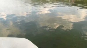 Сплав по Енисею, от Дивногорска до Красноярска, на резиновой лодке.