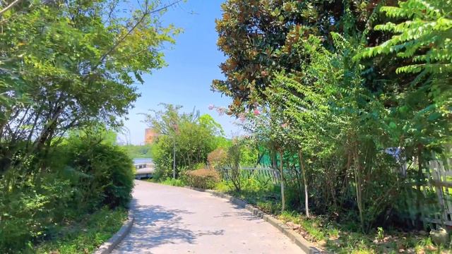 [4KHDR]China Walk Tour |  38℃ Walk In Chengdu Nanhu Park | Real China City