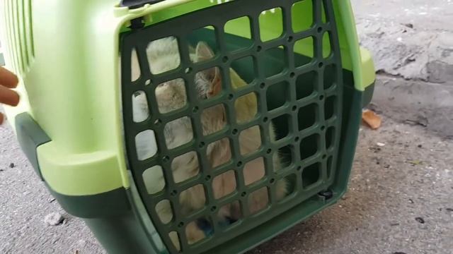 Трогательные стихи "Звонок". Реальная история смотри до конца. Стихи от автора смотреть онлайн