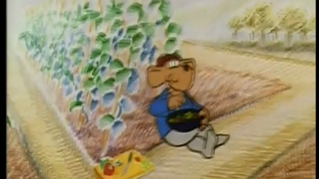 25 Fruit And Vegetables