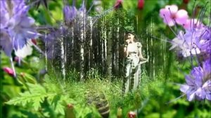 НОЧКА ЛУГОВАЯ