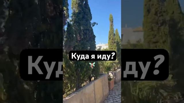 Сколько ТЫСЯЧ шагов за день я хожу?