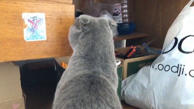 Как Сделать Красиво и Качественно