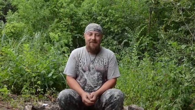 Добромыслъ. Отзыв по древу Ясень смотреть онлайн