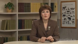 Какой бывает транспорт. Видеоурок по окружающему миру 2  класс