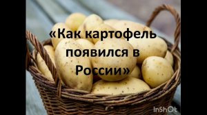 ''История появления картошки''