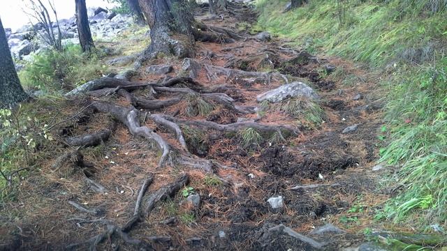 Чем можно оскорбить духов природы. смотреть онлайн