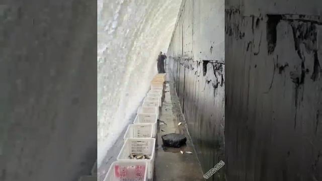 ручей ребятам на фронт я там уже был и знаю каково это 2202 2003 4591 2586 смотреть онлайн