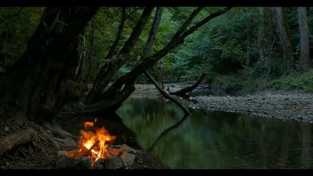 Костёр у речки. Расслабляющие звуки природы. Fireplace and nature sounds. Relax & Enjoy. ASMR смотреть онлайн
