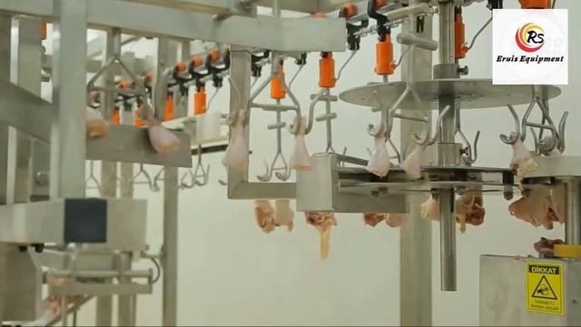Boost Your Poultry Processing Capacity with Large Complete Slaughter Line смотреть онлайн