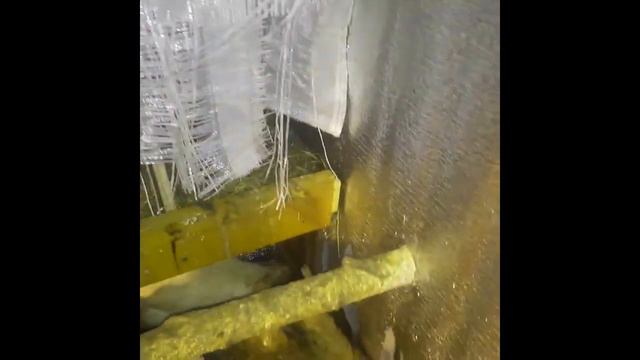 Петушки начинают петь!)/Борзая малышня!))) смотреть онлайн