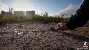 Фэйлы Векмана