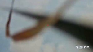 Как правильно целится в летящую утку