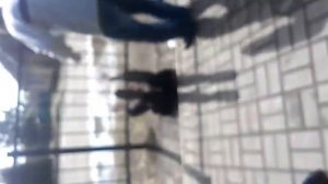 Пьяная цыганка показала голую жопу!!! Хахахахаха, ейо забрала милиция!!!