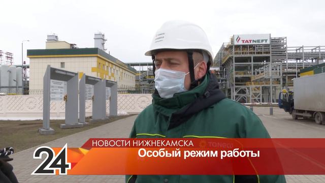 Танеко и особый режим сюжет смотреть онлайн