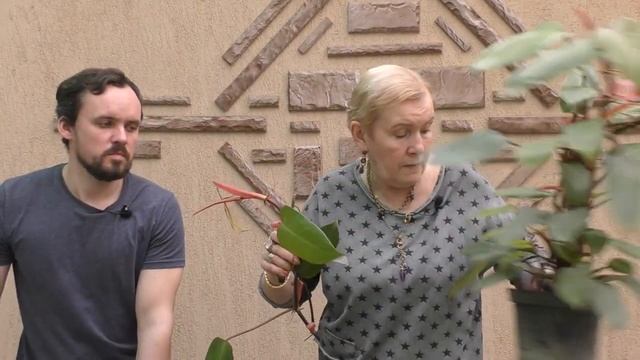 Весна-пора размножения растений. смотреть онлайн