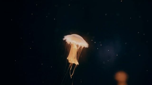 Relaxation music. Music for meditation. Sea and ocean. Музыка для релакса. Для медитации. Море. смотреть онлайн