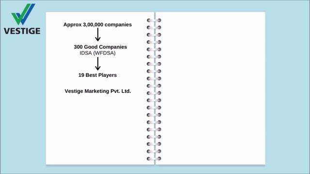 Vestige Plan (in Hindi) | How To Show The Plan? смотреть онлайн