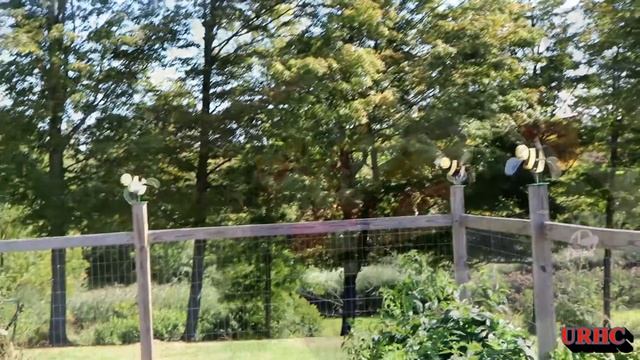 Last Garden Update 2019 And Getting Ready For Winter