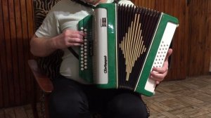 Гармонь Гармошка Беларусь