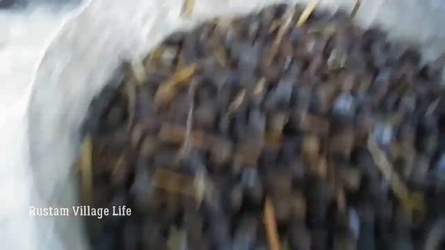Кроличий помет применение при посадки огурцов смотреть онлайн