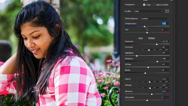 About Photoshop Camera Raw Filter | Photoshop (Sinhala) смотреть онлайн