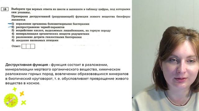 Разбор 4 варианта из сборника Рохлова 2024 смотреть онлайн