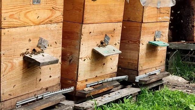 Холодно, дожди. 1 мая 2023 г. смотреть онлайн