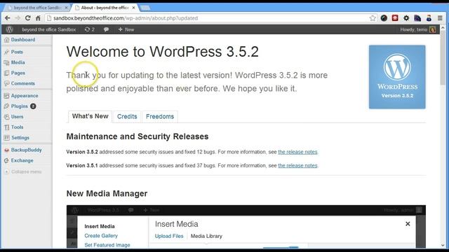 Updating WordPress & Plugins смотреть онлайн