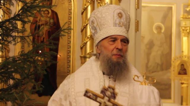 Поздравление Митрополита Зиновия с Богоявлением смотреть онлайн