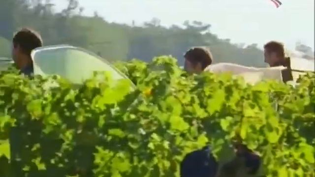 Франция виноградники Сент Эмильон Saint Emilion смотреть онлайн