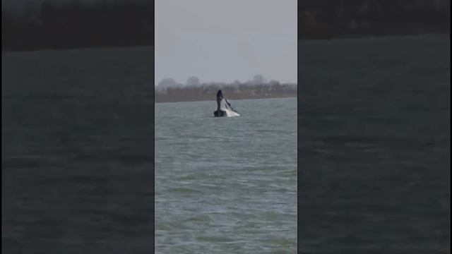 Рыбалка Белый камень Шардара смотреть онлайн