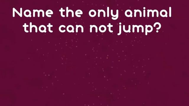 Gk | Quiz on Animals | सवाल जवाब | GK questions & Answers смотреть онлайн