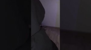 ?ШКОЛА СОЛНЦА?| ОХОТНИКИ НА ВАМПИРОВ??♀️? (ВСЕ СЕЗОНЫ ВМЕСТЕ?)