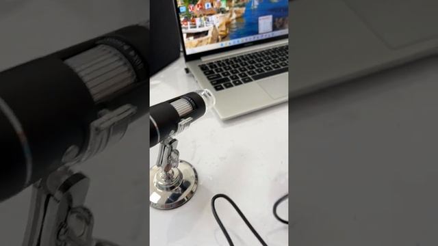 Трихоскоп Мар Негро, Mar Negro смотреть онлайн