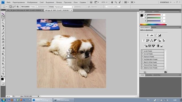 Как поставить водяной знак_Программа Photoshop смотреть онлайн