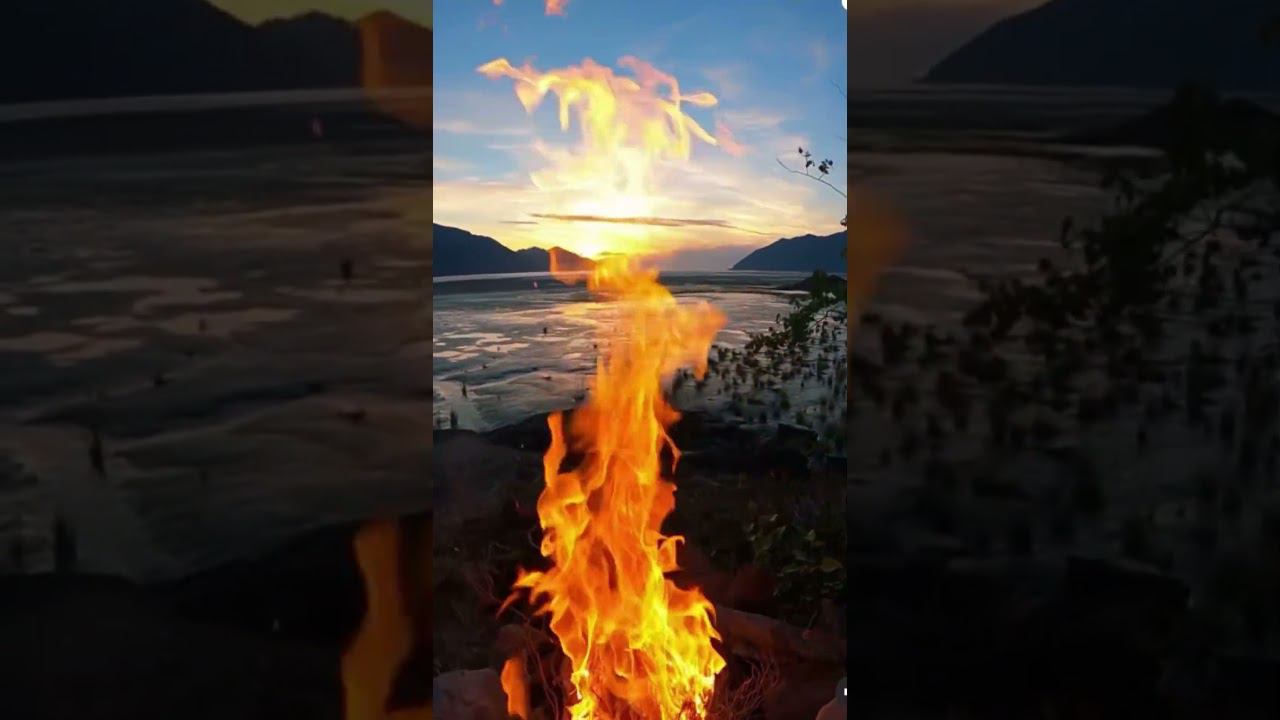 Воспоминание (стихи) Джамиля Шарипова #стихи #любовь #love #топ #animals #природа #джамиля шарипова