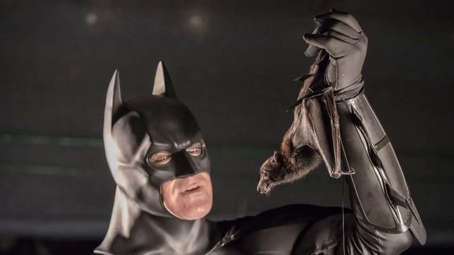 Чем питаются летучие мыши?